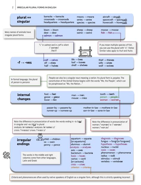Nieregularne Formy Liczby Mnogiej Rzeczownik W W Angielskim Irregular