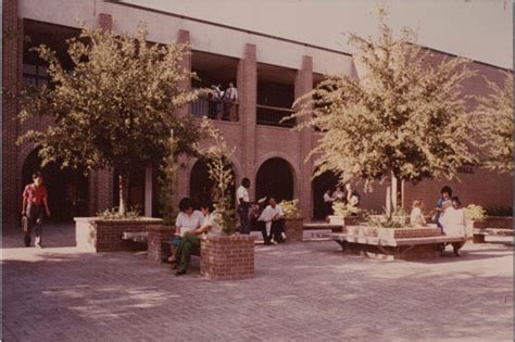 TAMIU 50th Anniversary Website