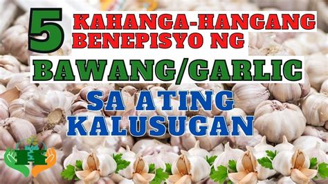 5 Kahanga Hangang Benepisyo Ng Bawanggarlic Sa Katawan