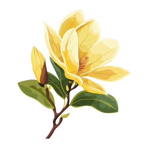 Yellow magnolia flower, in the style of clip art, flat illustration