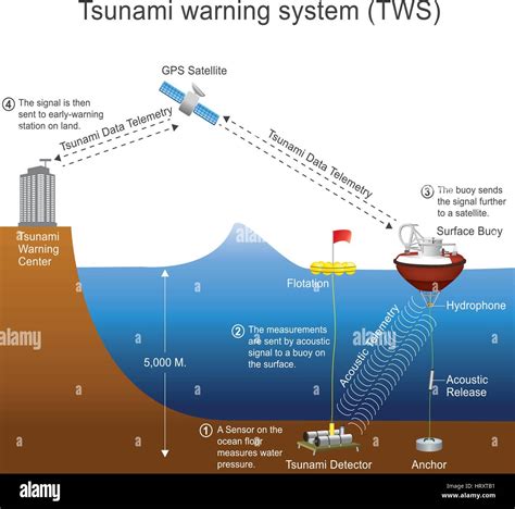 Ein Tsunami Warnsystem Tws Wird Verwendet Um Tsunamis Im Voraus