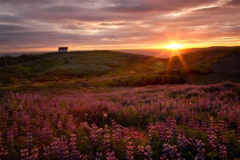 Pin By Chappy Debbie Mitchell On Brian Rueb Photography Cool Pictures