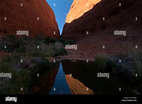 Blue Sky Reflected In A Rock Pool In Walpa Gorge Kata Tjuta Or The