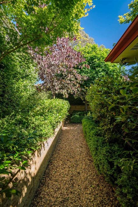 GALLERY — Canberra Gardens | Native garden, Australian native garden ...