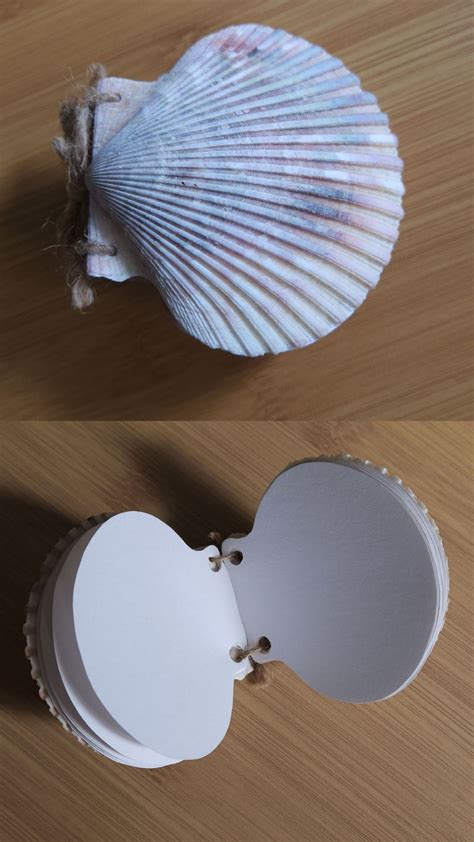 Scallop Shell Notebook I Made In 2024 Seashell Art Diy Shells Diy