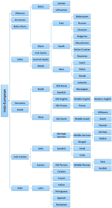 Family tree diagram depicting relationships between Indo-European ...