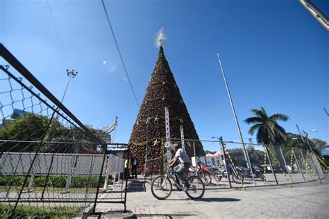 Festival Árbol Gallo se inaugura esta noche La Hora