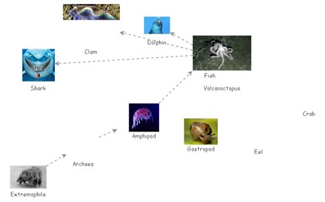 Science Food Web Insight Maker