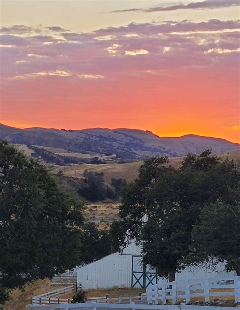 Goodbye Ribeye / A-Moooosing Stories | JNB RANCH