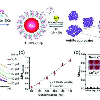 Aunp Ek Nanoprobe Based Colorimetric Detection Of Ni A