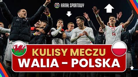 Kulisy Walia Polska Borek Szpakowski I Euforia Po Awansie Na Euro