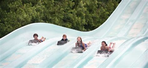 Busch Gardens Va Water Park Fasci Garden