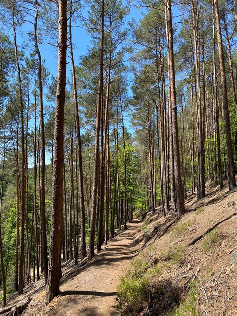 Leininger Burgenweg Premiumwanderweg Mit Audio Und Video Stationen