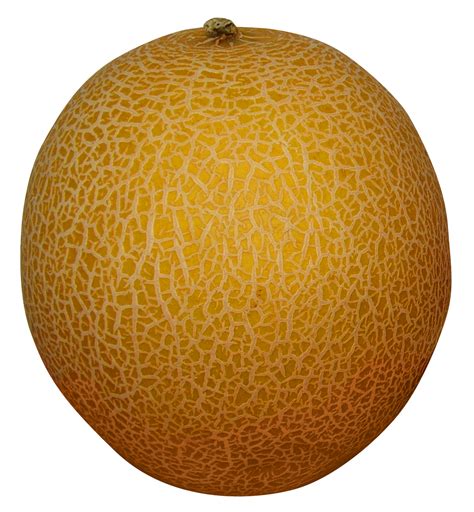 Melon Png