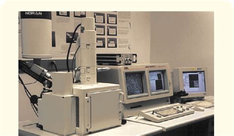 scanning electron microscope  scientific diagram