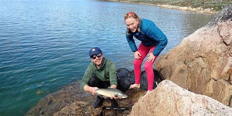 Monitoring Arctic Char In Gree Image Eurekalert Science News Releases