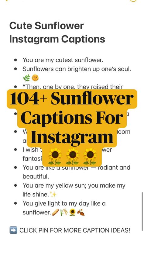 104+ Sunflower Captions For Instagram 🌻🌻🌻 in 2022 | Instagram captions ...