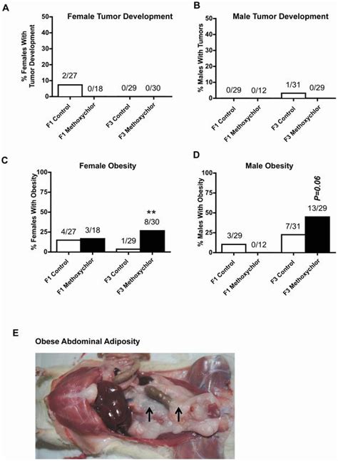 Methoxychlor Pesticide Linked Linked To Ovarian Disease And Obesity 3 ...