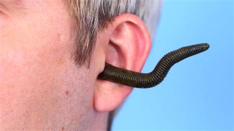 How To Get Bug Out Of Ear Canal