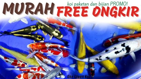 Koi Paketan Juta Free Ongkir Hq Mulai Ribuan Youtube