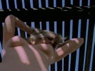 Mondo Topless Nude Pics Page