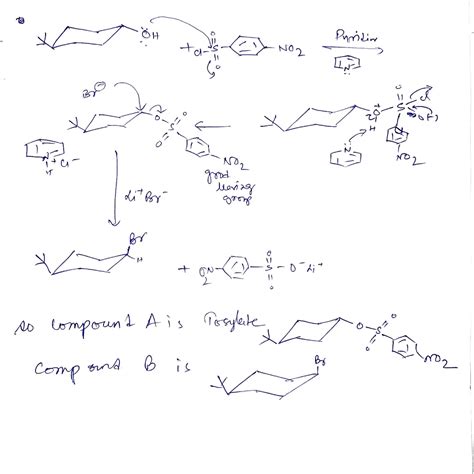 Solved Draw The Structures Including Stereochemistry Of Compounds A And Course Hero