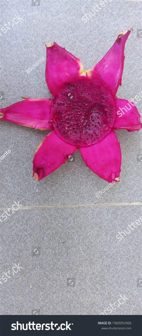 Buah Naga English Pitaya Fruit Several Stock Photo Edit Now