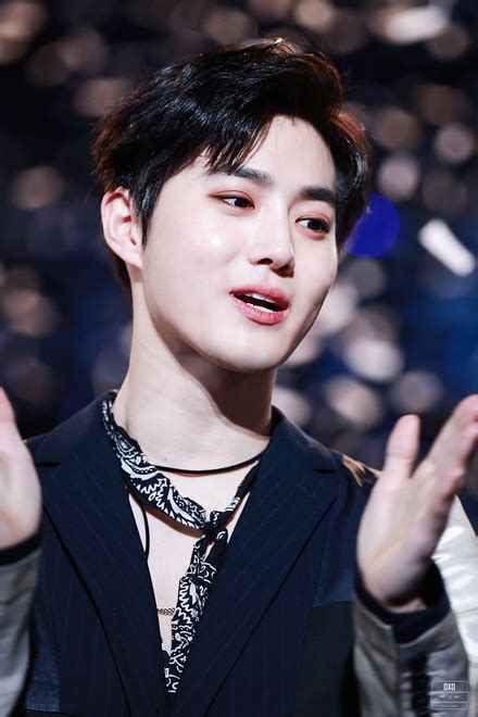 suho wikipedia