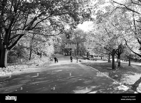 Sefton Park, Autumn time Stock Photo - Alamy