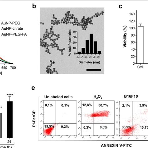 Uptake And Cytotoxicity Of Aunp Peg Fa A Uv Vis Spectra Of Aunp