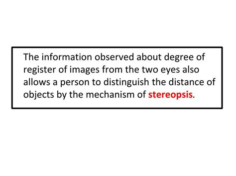 PPT - Central Neurophysiology of Vision PowerPoint Presentation, free ...