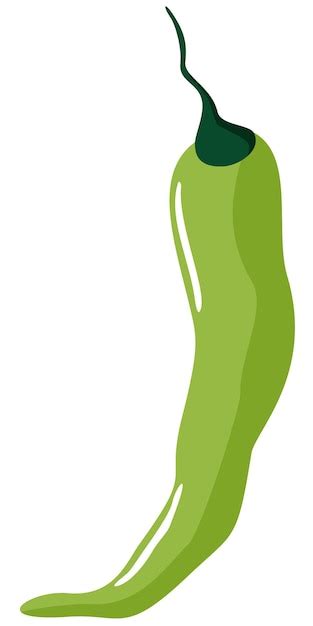 Premium Vector Vector Illustration Of Green Hot Pepper Isolated On White Background