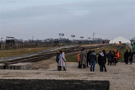 75 rocznica wyzwolenia Auschwitz Birkenau Aktualności Instytut