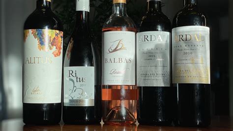 Cuál es el mejor vino de la Ribera del Duero Vinotecas shop