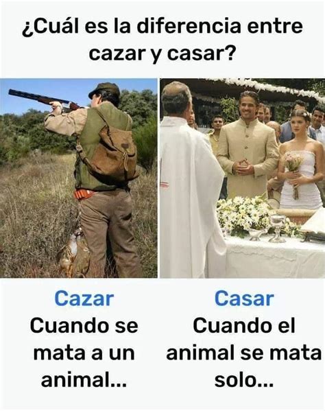 Cu L Es La Diferencia Entre Cazar Y Casar Cazar Cuando Se Mata A