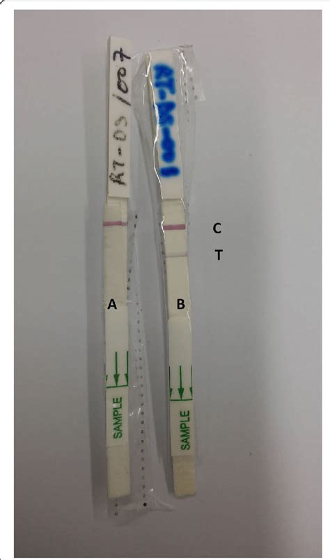 Typical Examples Of Cl Detect™ Rapid Test Results Strip A Is Negative Download Scientific