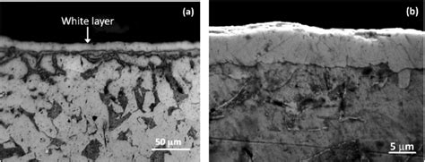 The Metallographic Appearance Of Cross Section Optical Micrographs Of