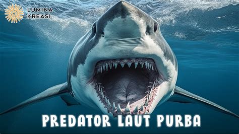 Megalodon Dan Misteri Kepunahannya YouTube