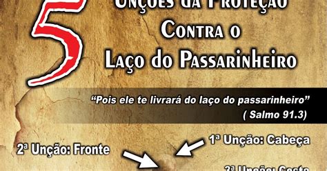 Frases Fju Pa Un Es Da Prote O Contra O La O Do Passarinheiro