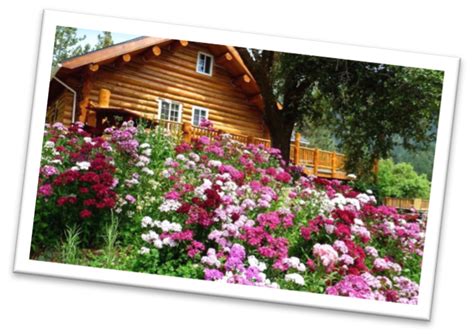 Brighten Up Your Original Log Cabin Home Landscaping with Vibrant ...