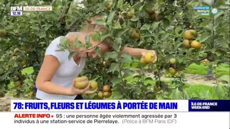 Ariane a testé la cueillette de fruits légumes et fleurs à la ferme de