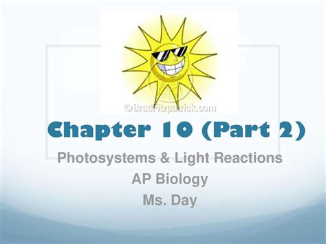 Photosystems And Light Reactions Ap Biology Ms Day Ppt Download