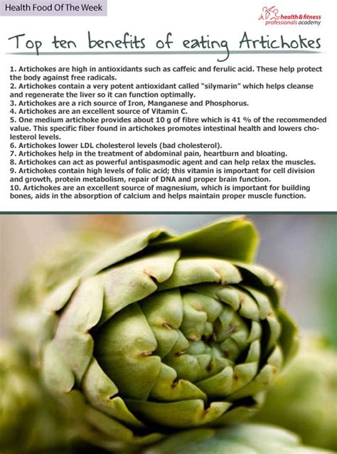 Health Benefits Of Eating Artichokes Artichoke Benefits Nutrition