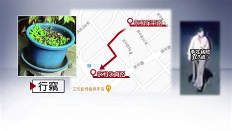 盆栽內藏寵物骨灰遭竊走 失主心急尋回