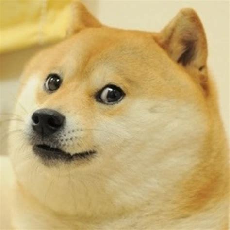 Doge Meme Templates - Indian Meme Templates