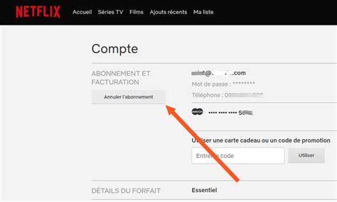 Comment Se D Sabonner Ou Supprimer Un Compte Netflix D Finitivement