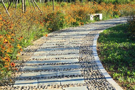 人行道草坪景观设计步行道路公园草春天中国小路园林