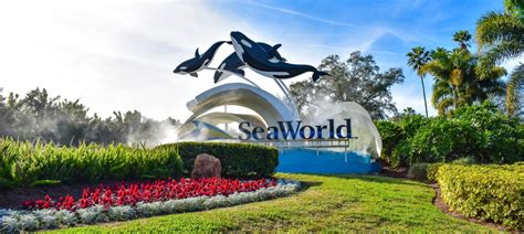 8 Best Hotels Near SeaWorld Orlando | CuddlyNest