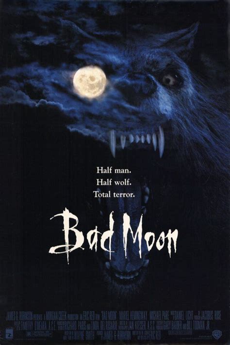 20 Best Werewolf Movies of All Time - List of Classic Werewolf Movies