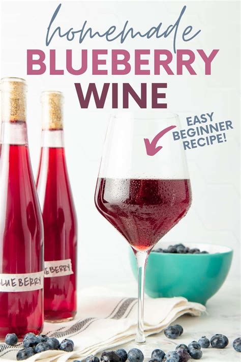 Blueberry Wine Recipe 1 Gallon Besto Blog